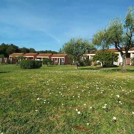 Naturist Park Koversada Villas, Vrsar Bagian luar foto