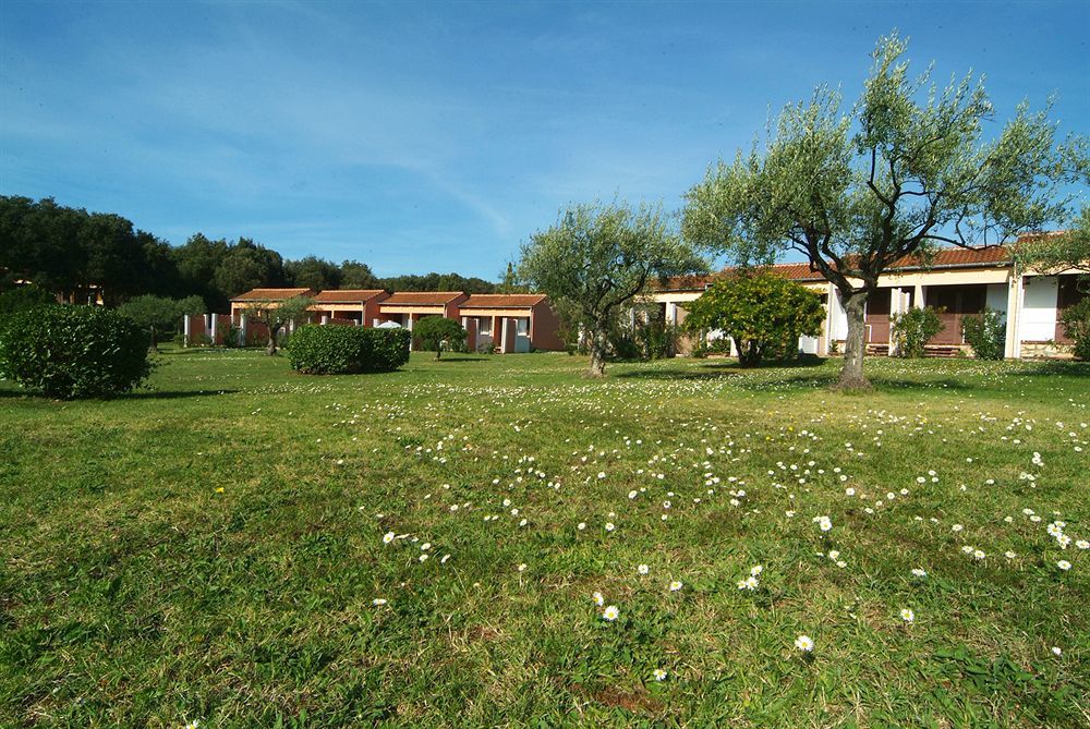 Naturist Park Koversada Villas, Vrsar Bagian luar foto